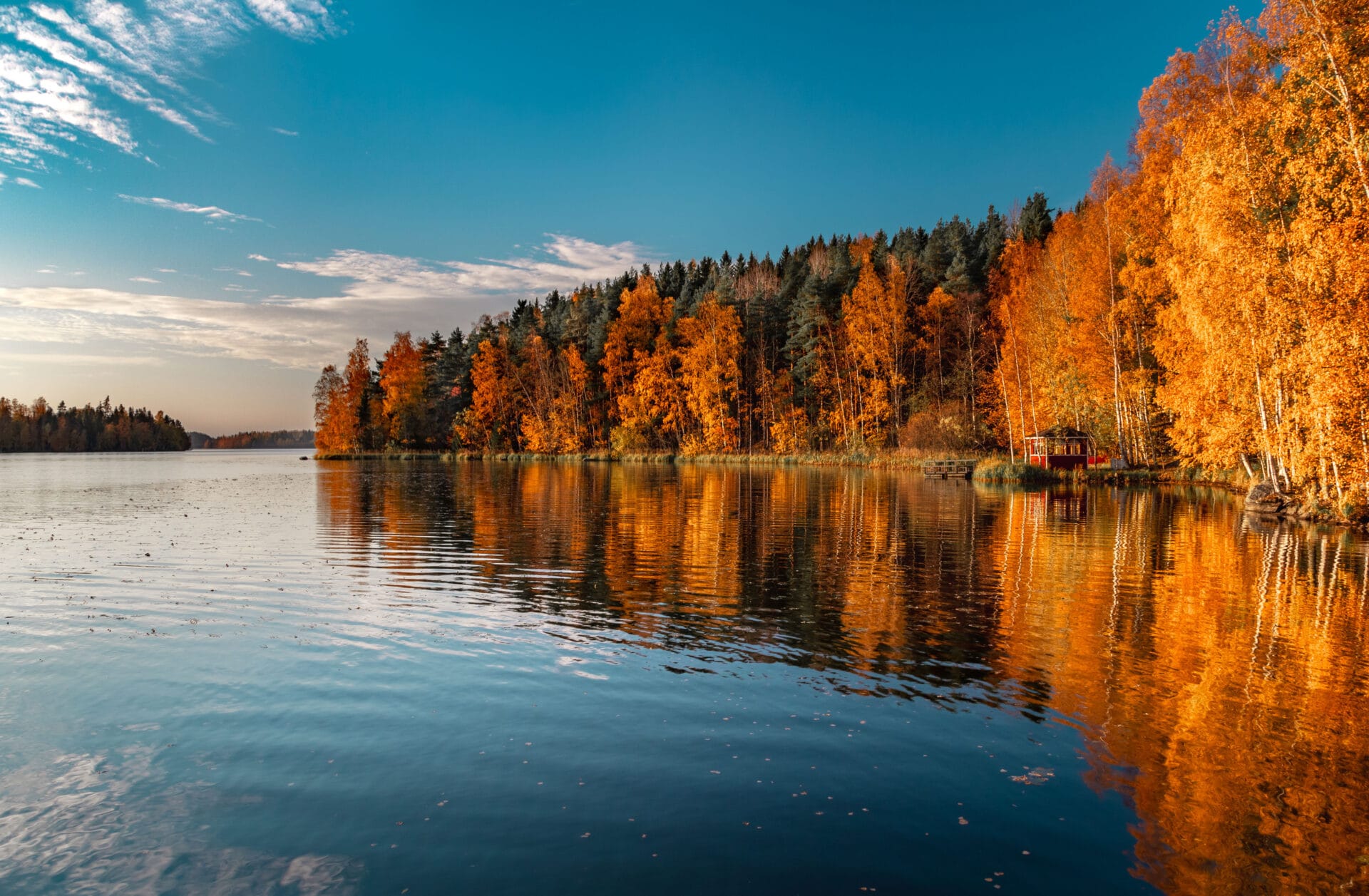 Artikkelin kuva